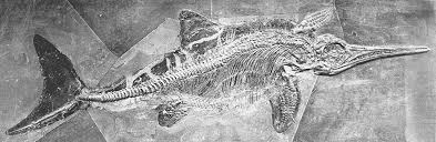 Ichthyosaurus