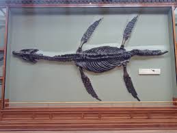 Pliosaurs